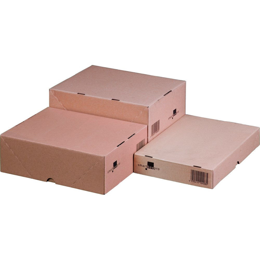 Stülpdeckelkarton wiederverschließbar 305 x 215 x 150 mm